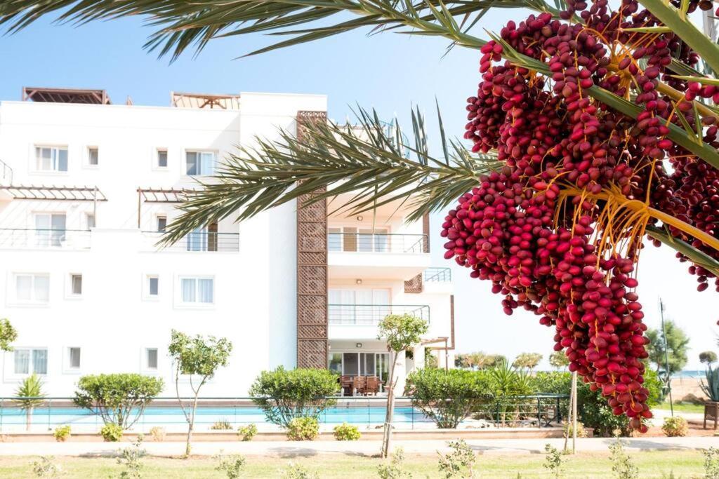 Private Beach Resort Cyprus Vokolidha Buitenkant foto